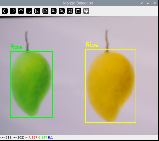 Mango Ripeness Classification & Counting System